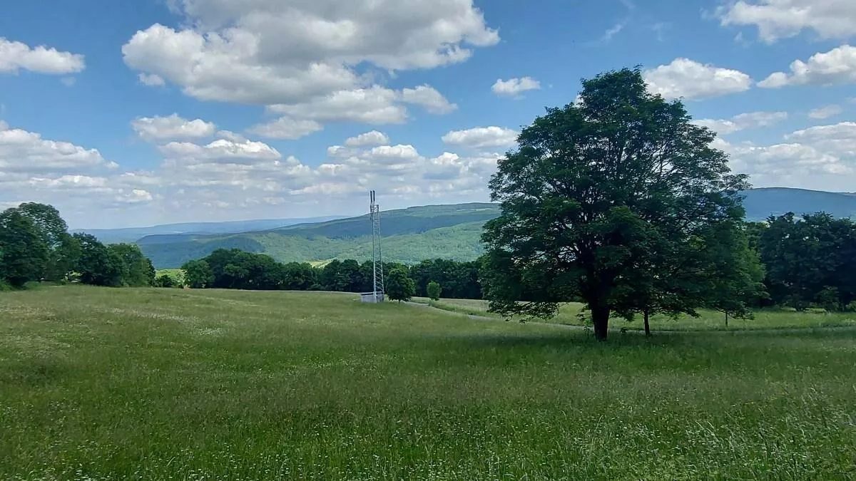 Bauernhof Schuchert – Bild 6