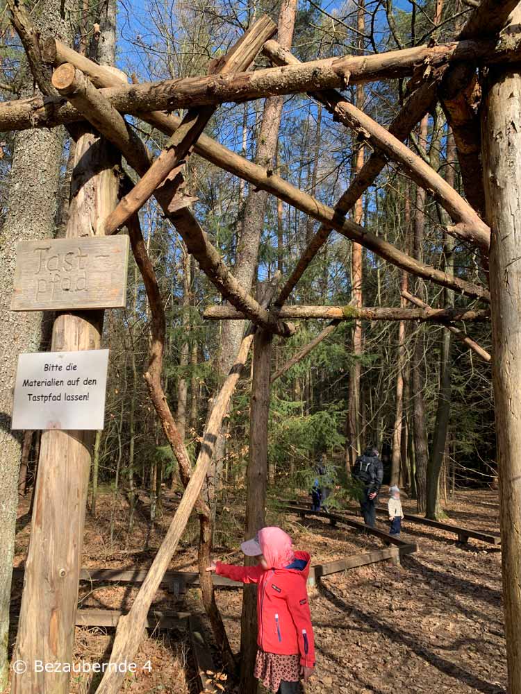 Waldbewegungspfad / Niedrigseilgarten / Kletterparktreff – Bild 2