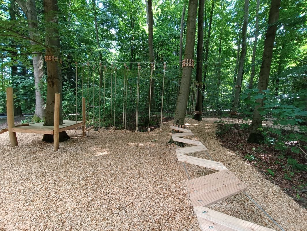 Waldbewegungspfad / Niedrigseilgarten / Kletterparktreff – Bild 3