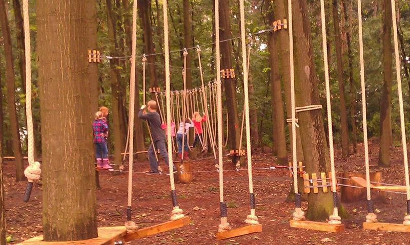 Waldbewegungspfad / Niedrigseilgarten / Kletterparktreff – Bild 4