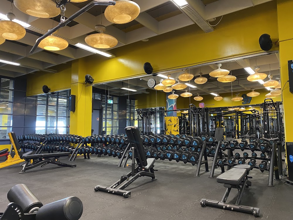 PRIMEGYM Schwalmstadt – Bild 2