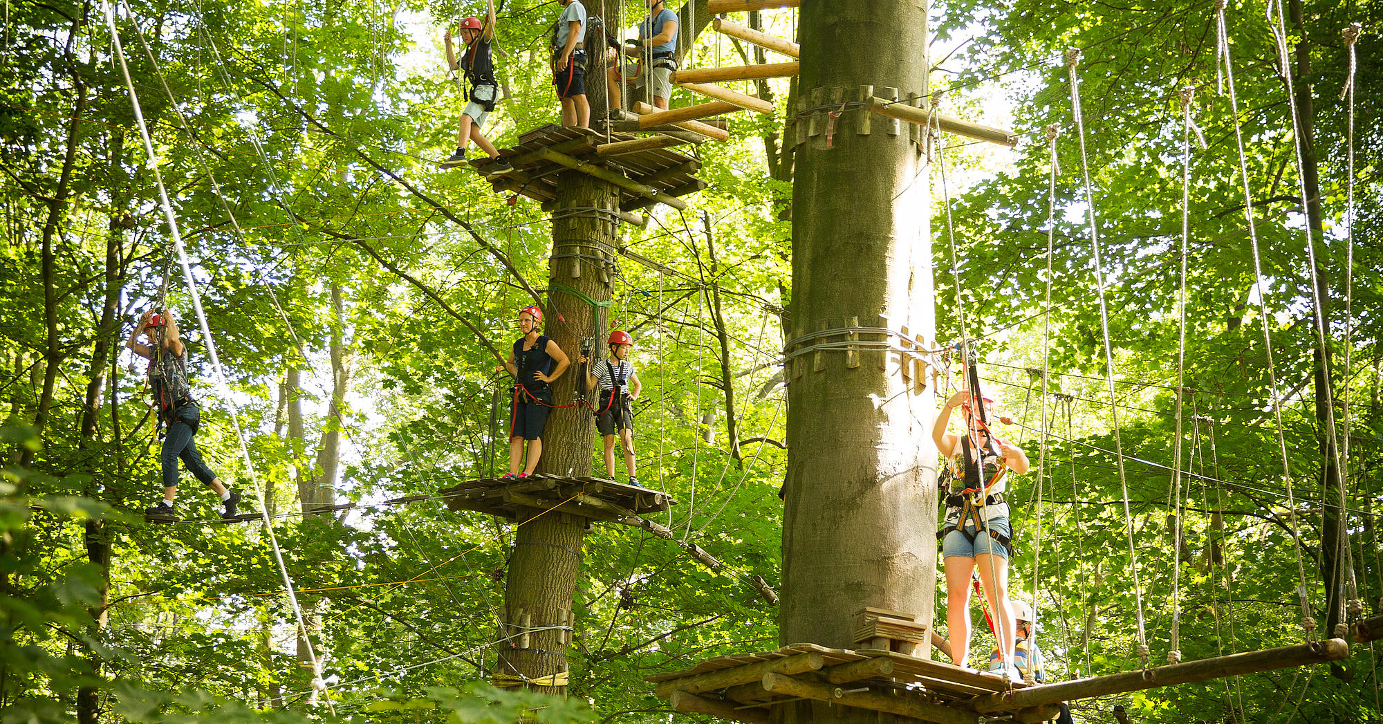 Kletterpark Bielefeld am Johannisberg – Bild 2