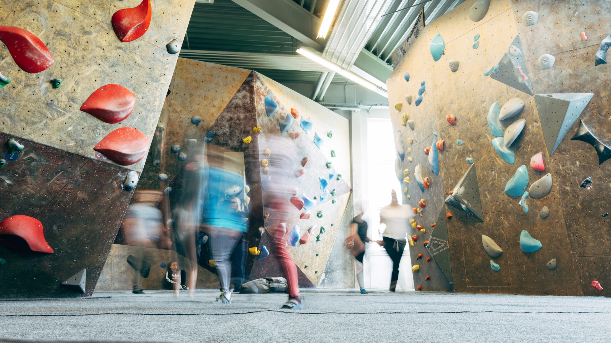 Eifelblock Trier – Bild 1