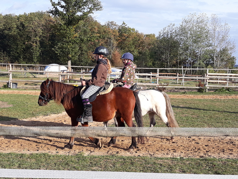 Ponyland Ennest – Bild 1