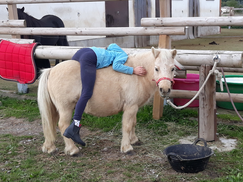 Ponyland Ennest – Bild 2