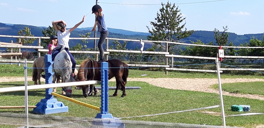 Ponyland Ennest – Bild 5