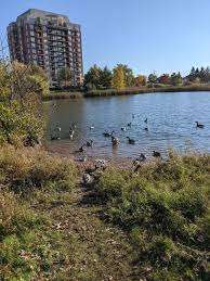 Millbank Park – Bild 6