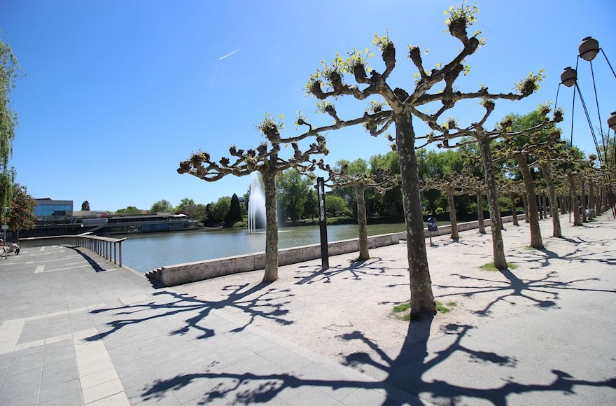 Stadtgarten – Bild 2