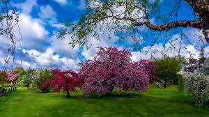 Exploration Garden – Bild 1