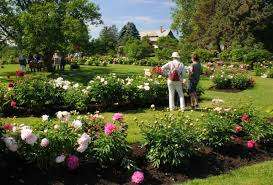 Exploration Garden – Bild 3