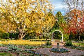 Exploration Garden – Bild 6