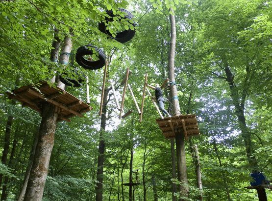 Teammotion – Bild 2