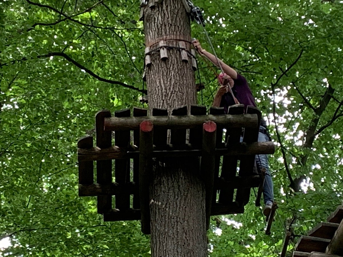 Teammotion – Bild 4