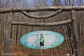 Hall's Creek Park – Bild 2