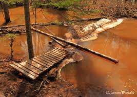 Hall's Creek Park – Bild 3