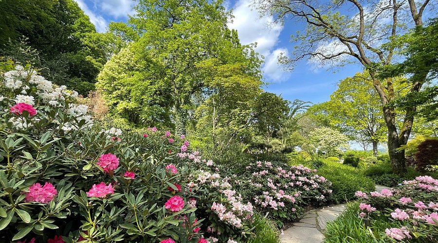 Freizeitzentrum Finkenrech – Bild 4