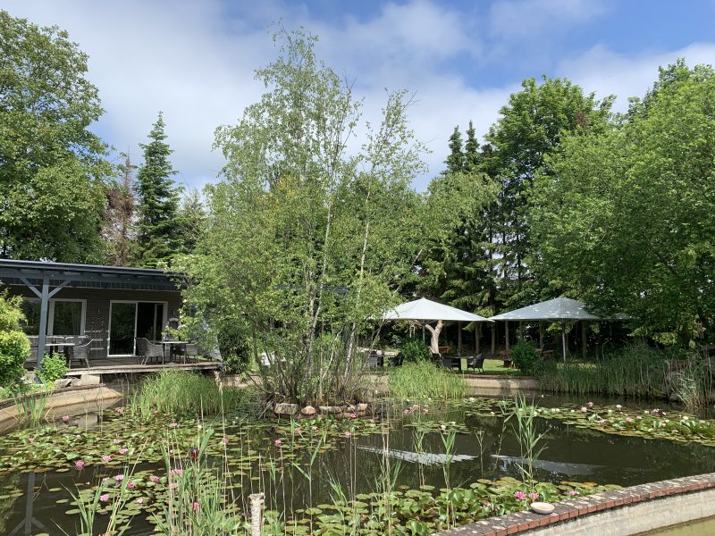 Freiluft - Teichcafé – Bild 1