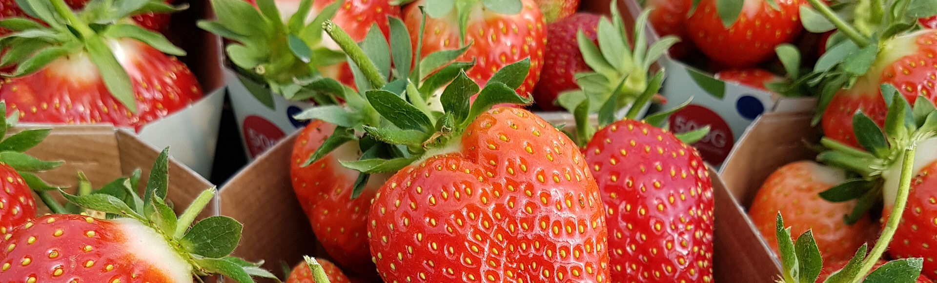 Hof Rahmann – Bild 4