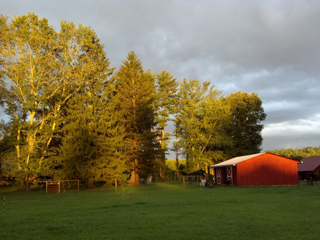 Nottloher mini Farm – Bild 3