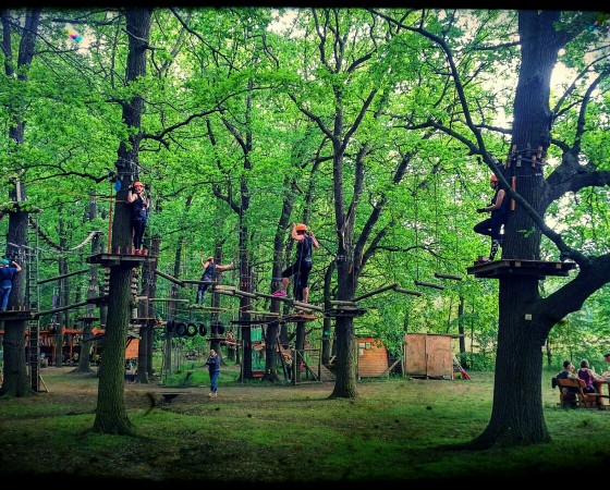 Hochseilgarten Moritzburg am Mittelteich – Bild 2