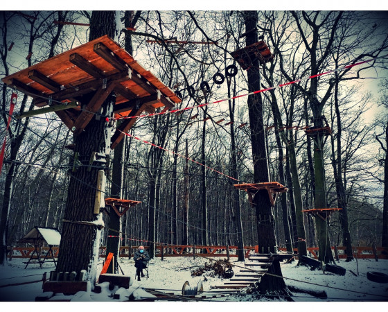 Hochseilgarten Moritzburg am Mittelteich – Bild 4