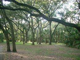 Huck Williams Park – Bild 6