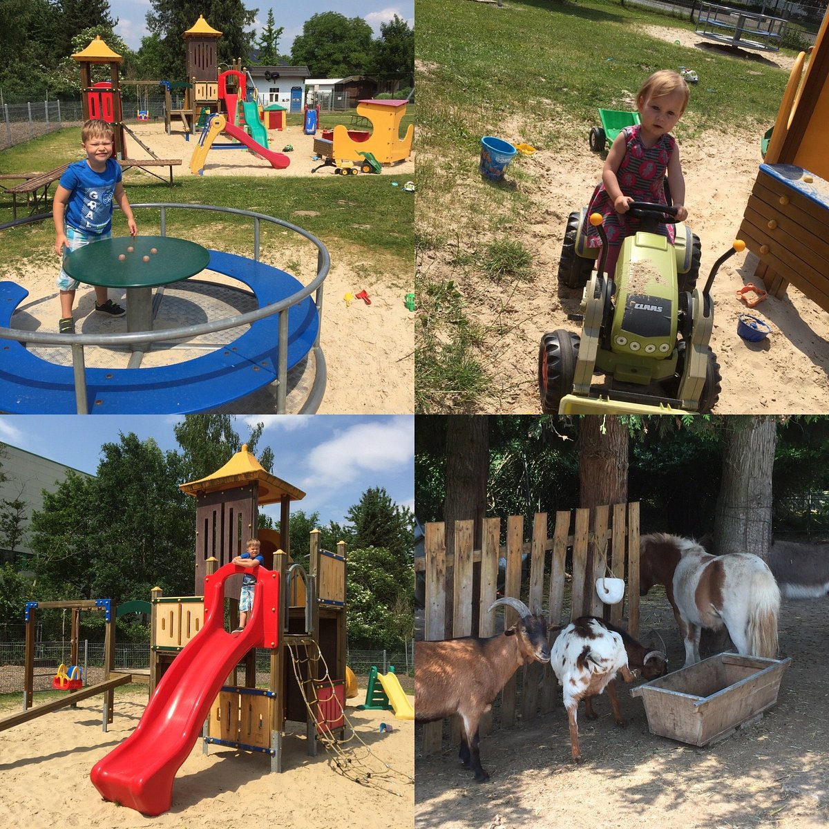 Giraffenland e.V. – Bild 5