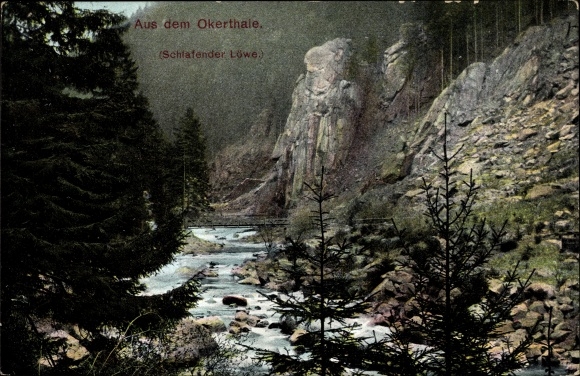 Schlafender Löwe – Bild 2