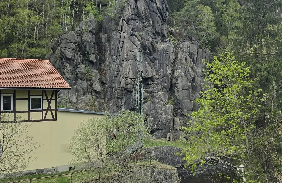 Schlafender Löwe – Bild 4