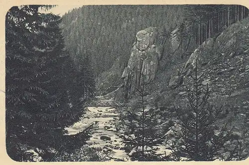 Schlafender Löwe – Bild 5