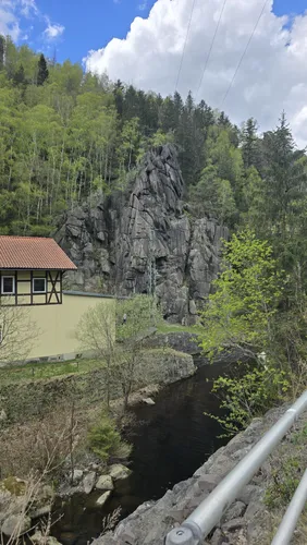 Schlafender Löwe – Bild 6