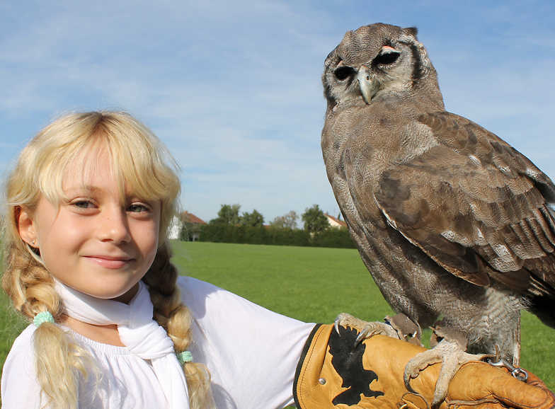 Garuda Falknerei – Bild 6