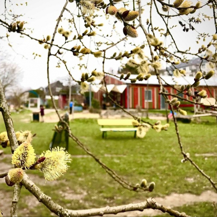 Spielplatz Zum Kirschbäumchen – Bild 6