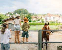 Erlebnishof Fronalp - Swiss Holiday Park – Bild 2
