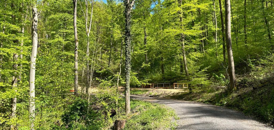 Kur- und Heilwaldparkplatz An der alten Landstraße – Bild 2