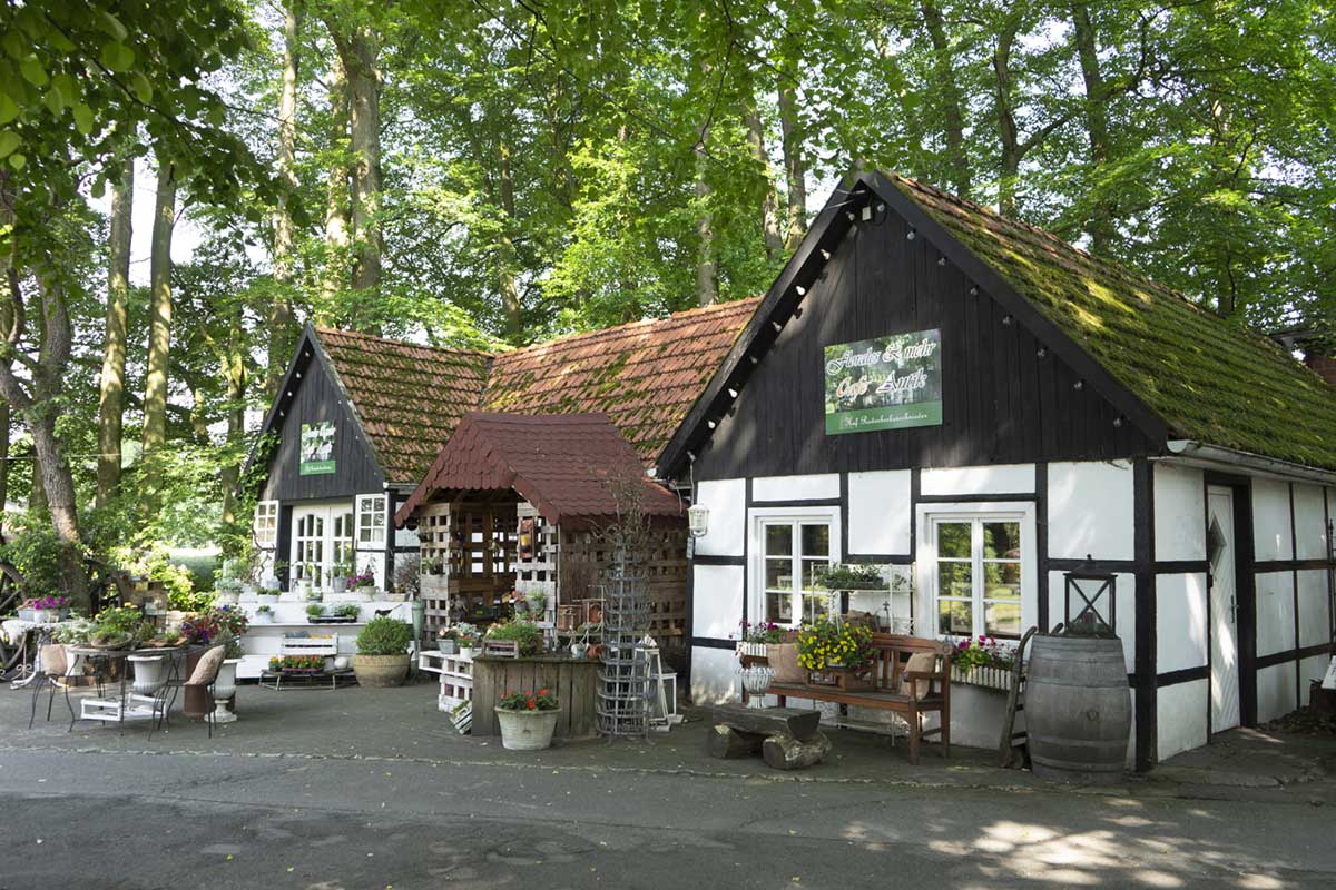 Wolfgang Rodenbeckenschnieder – Bild 4