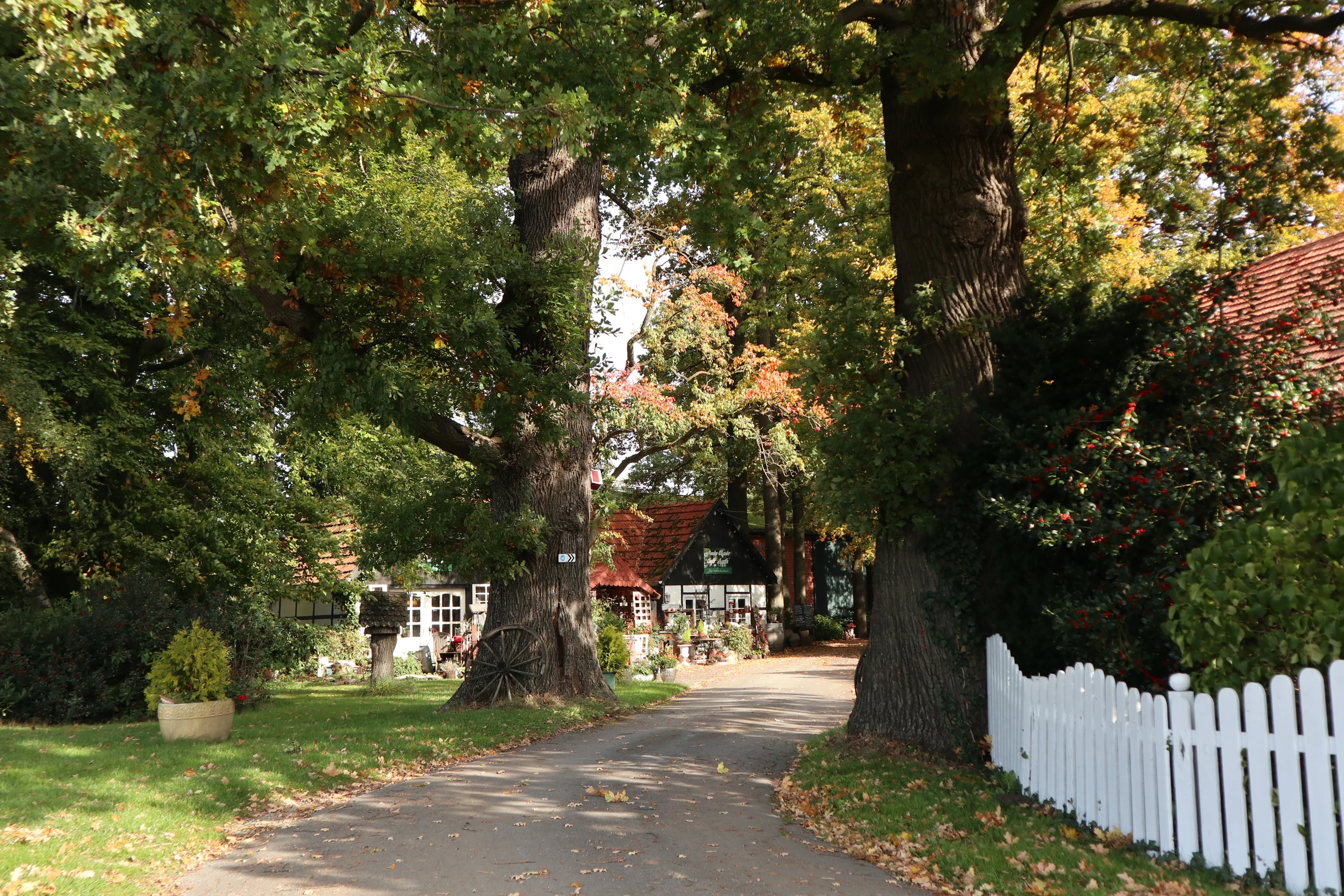 Wolfgang Rodenbeckenschnieder – Bild 6