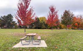 Bellbury Park – Bild 2