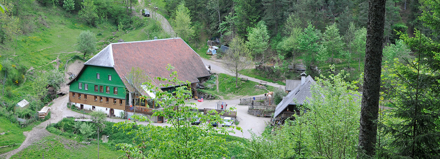 Hilserhof Naturferien - Bernd Wernet – Bild 3