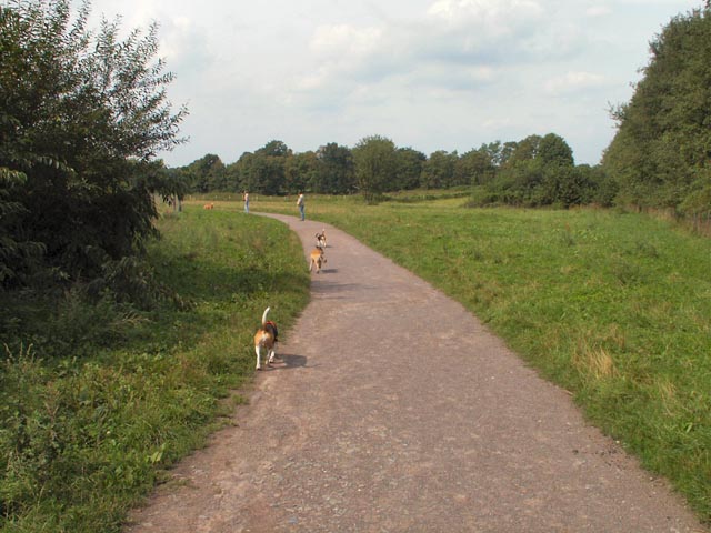 Hundewiese / Hundefreilauf Jaberg – Bild 2