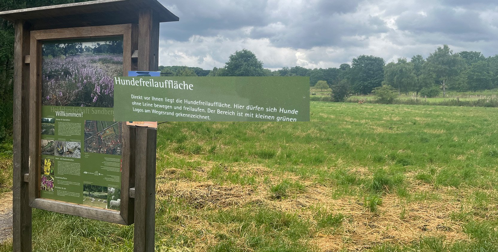 Hundewiese / Hundefreilauf Jaberg – Bild 5