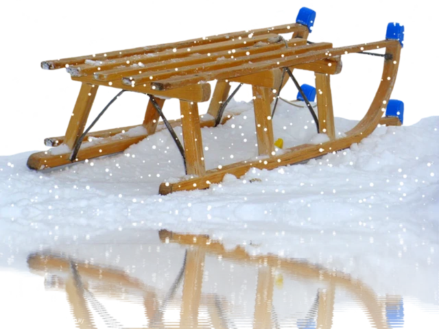 7 Tannen Schlittenwiese (steil) – Bild 2