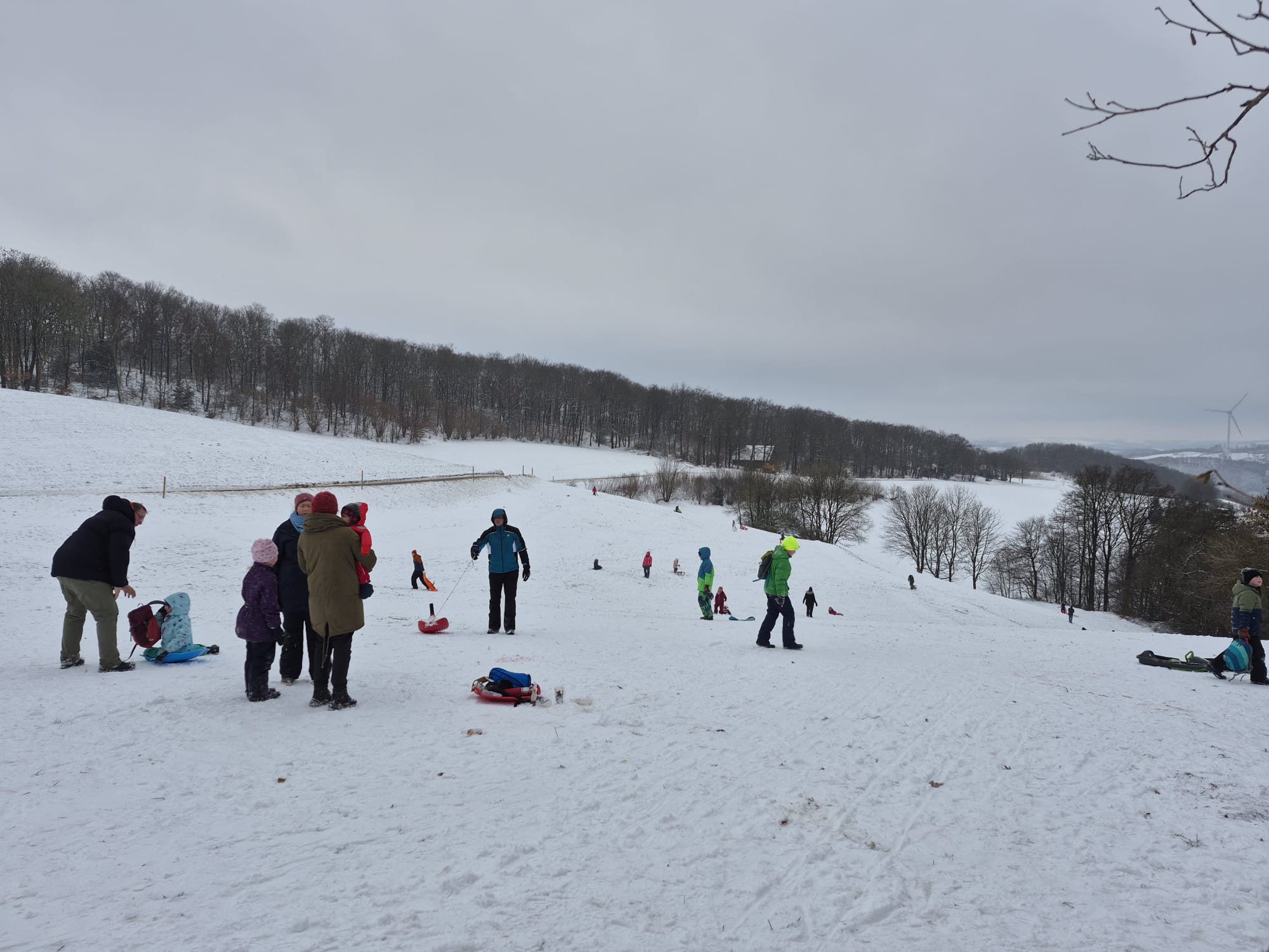 7 Tannen Schlittenwiese (steil) – Bild 3