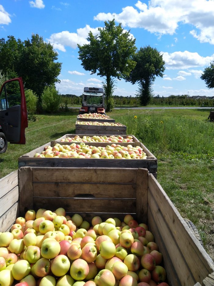 Weilers Obsthof/ Naturerlebnisse – Bild 5