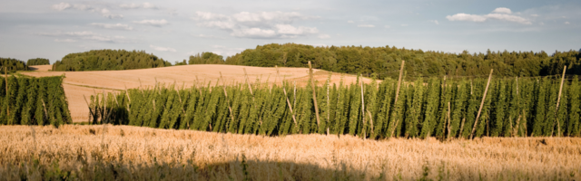 Walderlebnispfad – Bild 2