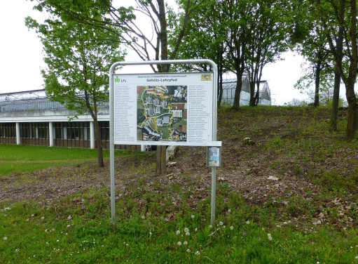 Walderlebnispfad – Bild 3