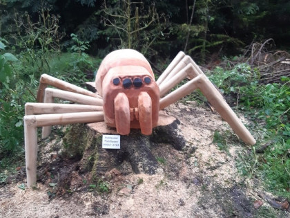 Walderlebnispfad – Bild 4