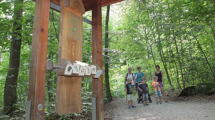 Walderlebnispfad – Bild 5