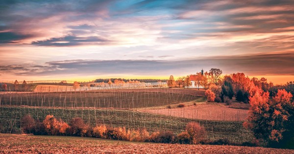 Walderlebnispfad – Bild 6