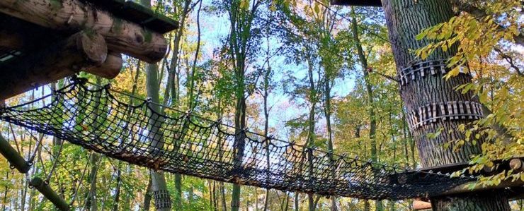 Schweriner Kletterwald – Bild 3